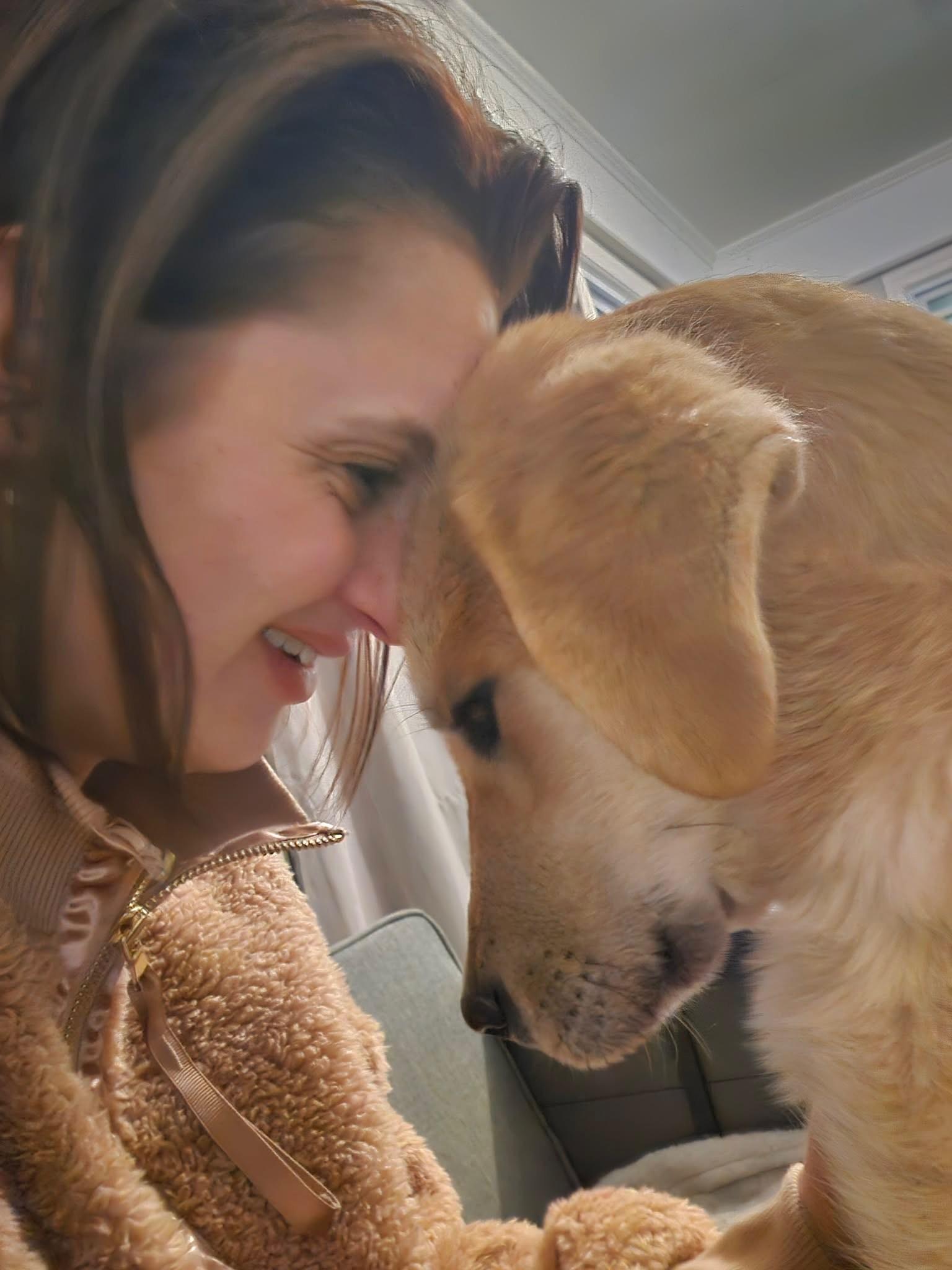 Enlarge Punkin, an adopted Labrador Retriever in Paterson, NJ image 4/5