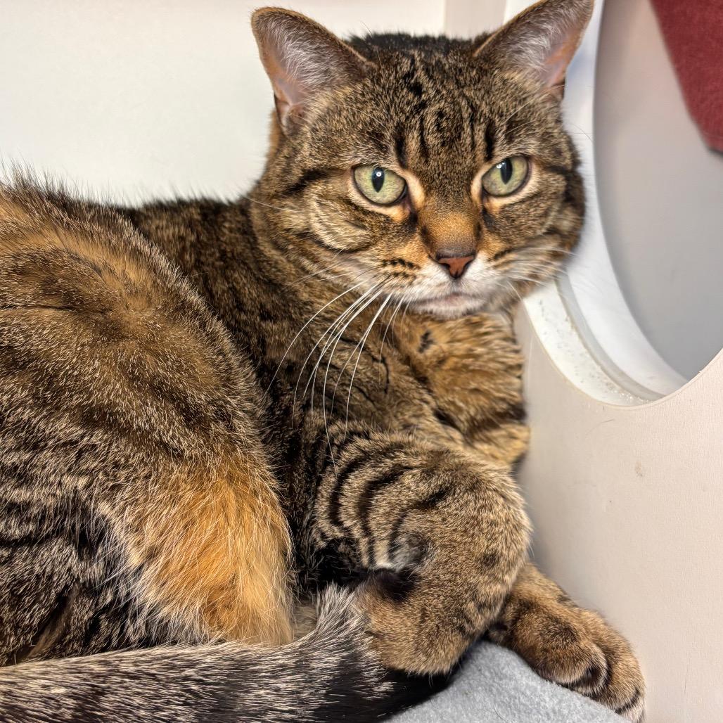 Baby — thumbnail 2