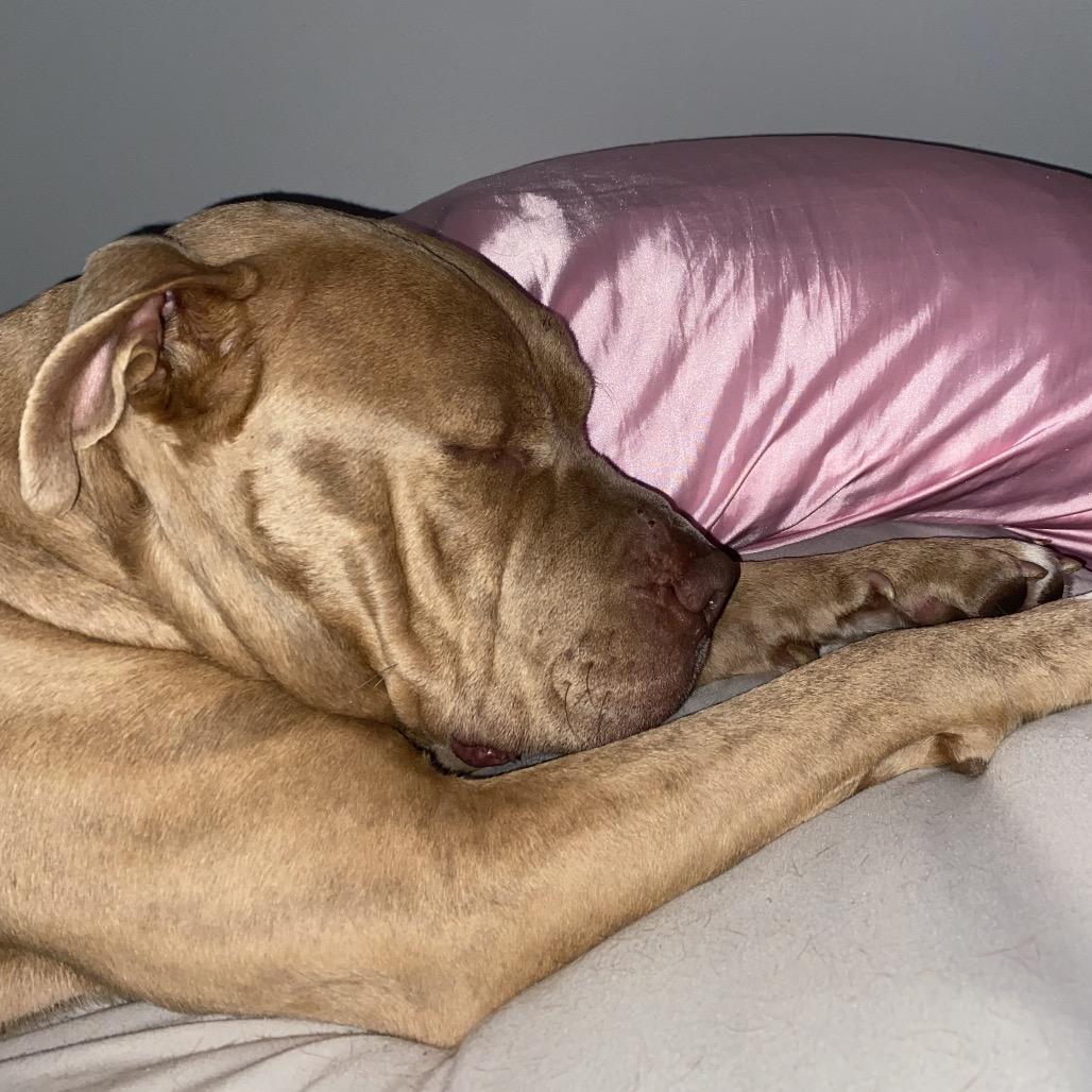 Bossier (Reduced Rover) — thumbnail 4