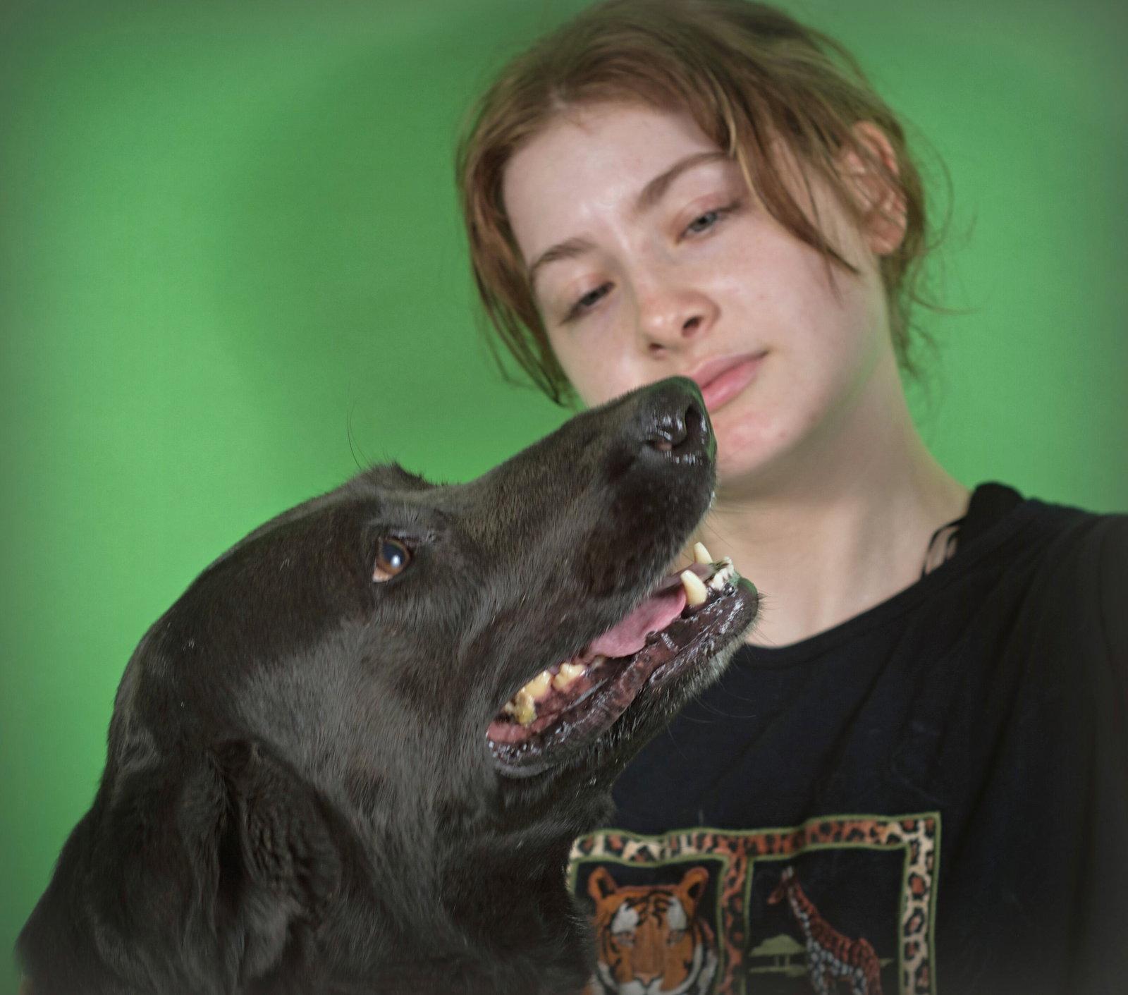 Enlarge Sadie, a Adoptable mixed breed in Holly Springs, MS image 2/3