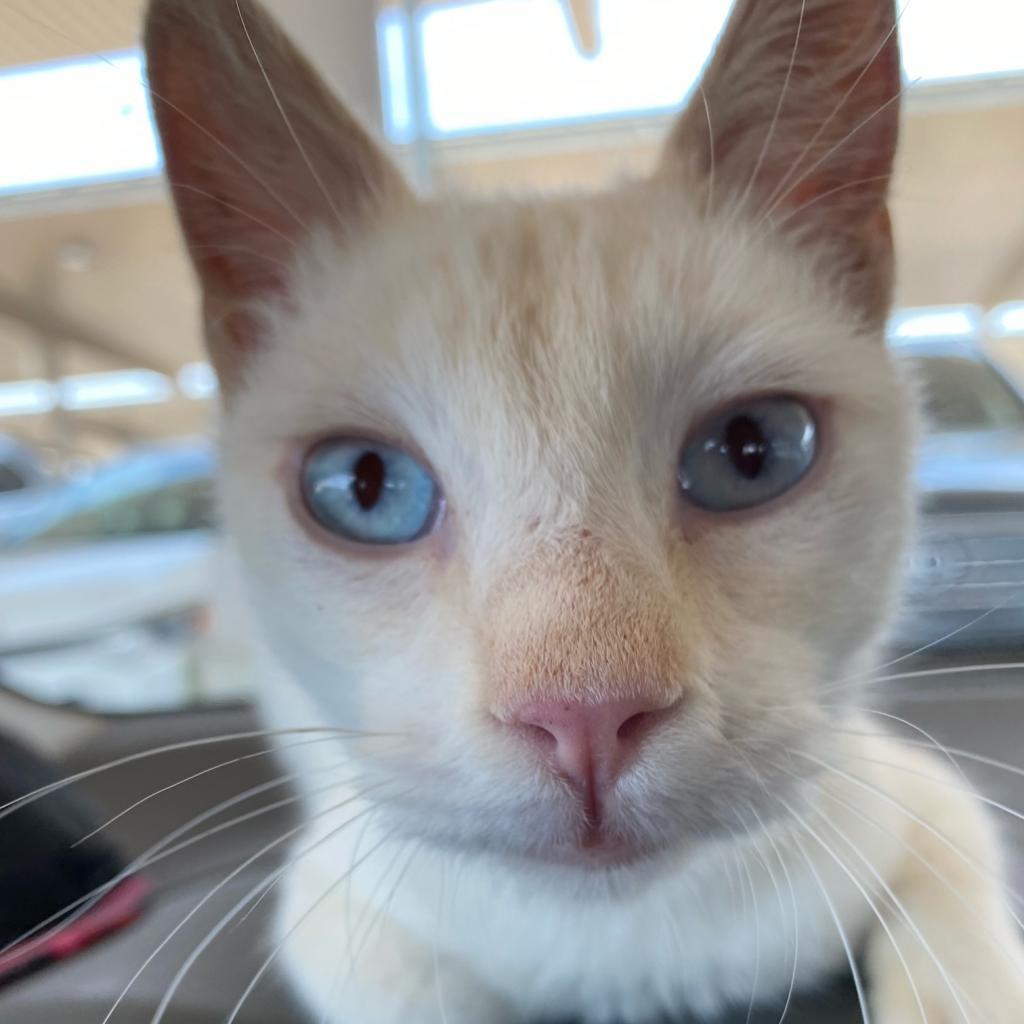 Jeffrey — thumbnail 3