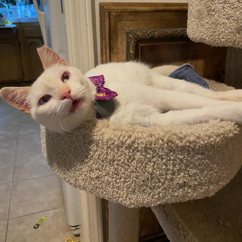 Jeffrey — thumbnail 5