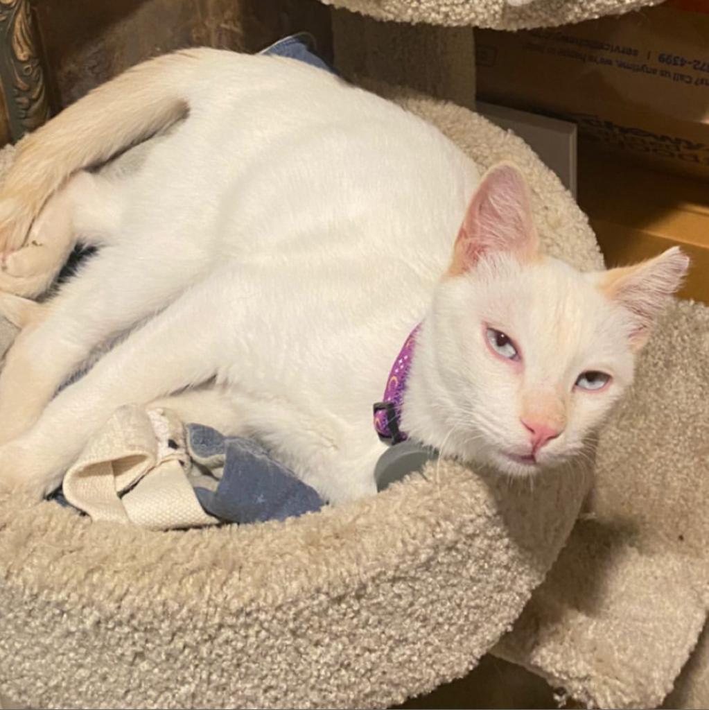 Jeffrey — thumbnail 6