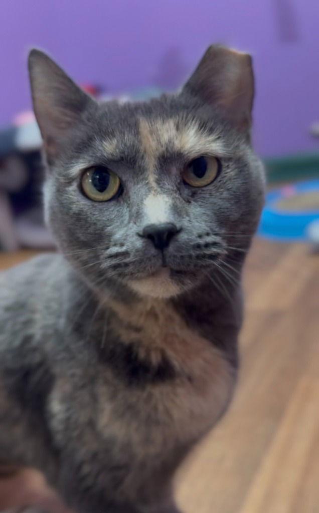 Mary — thumbnail 3