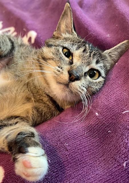 Kiko — thumbnail 2