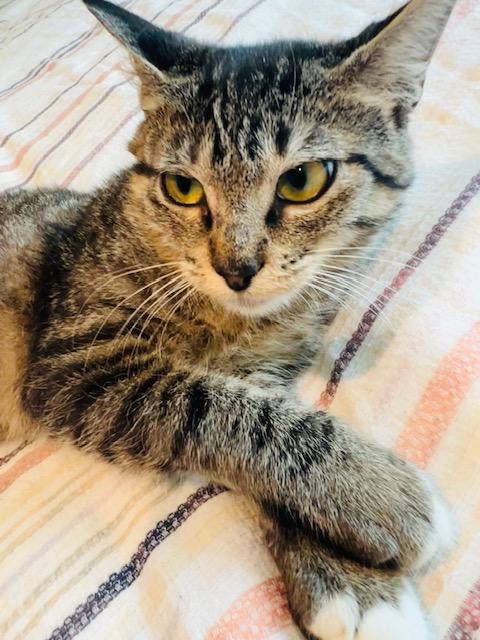 Kiko — thumbnail 3