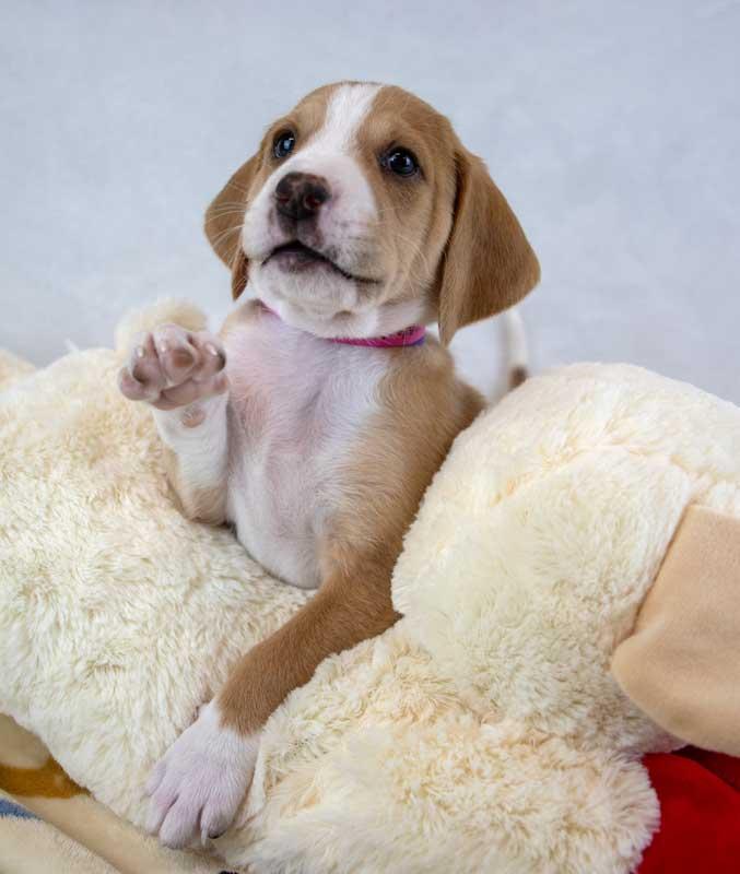 Brianna — thumbnail 2