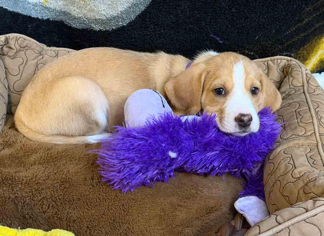 Brianna — thumbnail 5