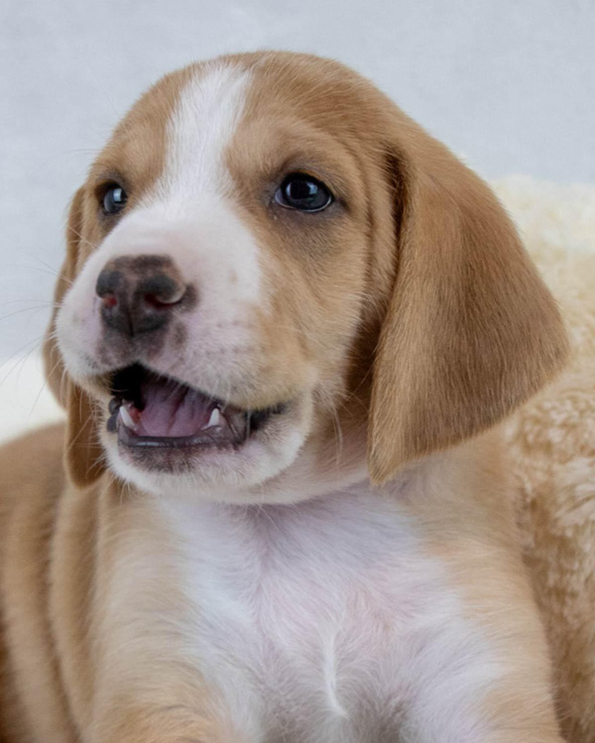 Brianna — thumbnail 6