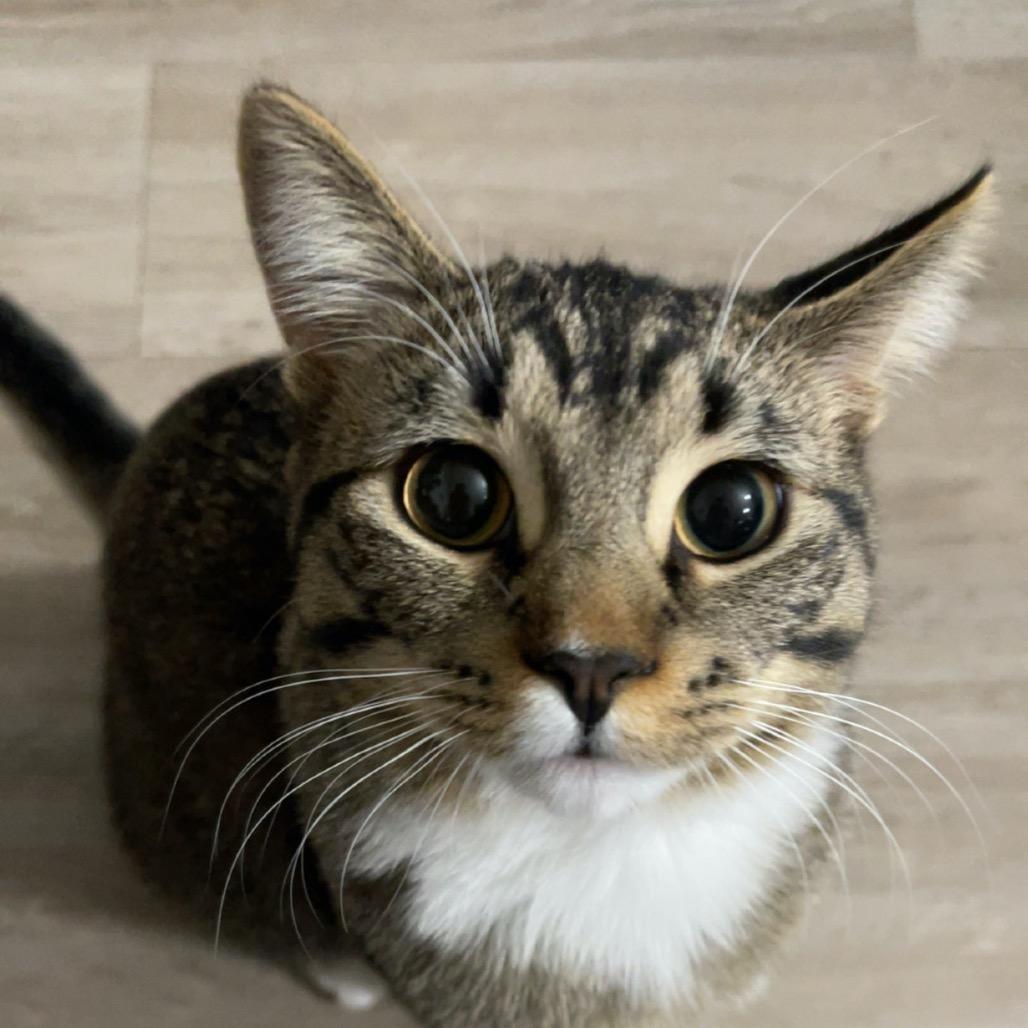 Carson — thumbnail 2