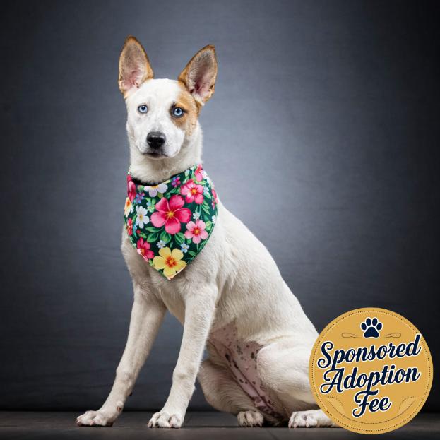 Lisa — thumbnail 2