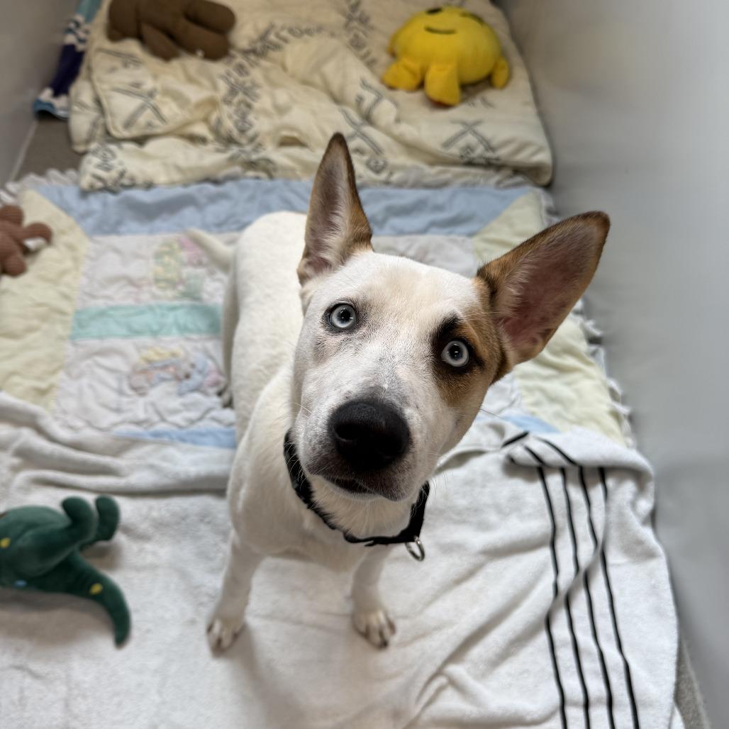 Lisa — thumbnail 3