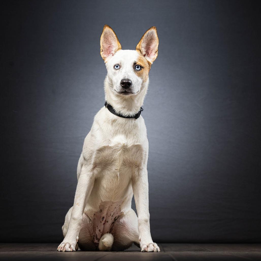 Lisa — thumbnail 4