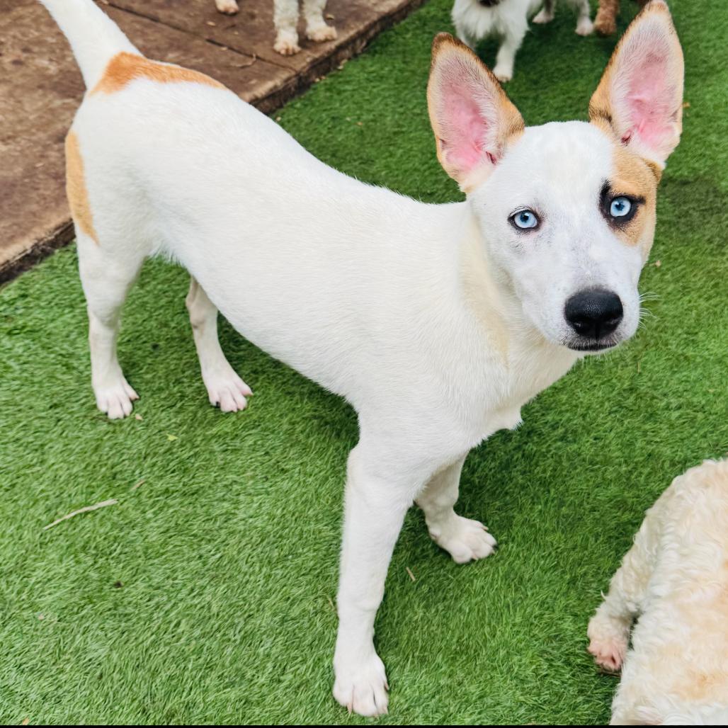 Lisa — thumbnail 5