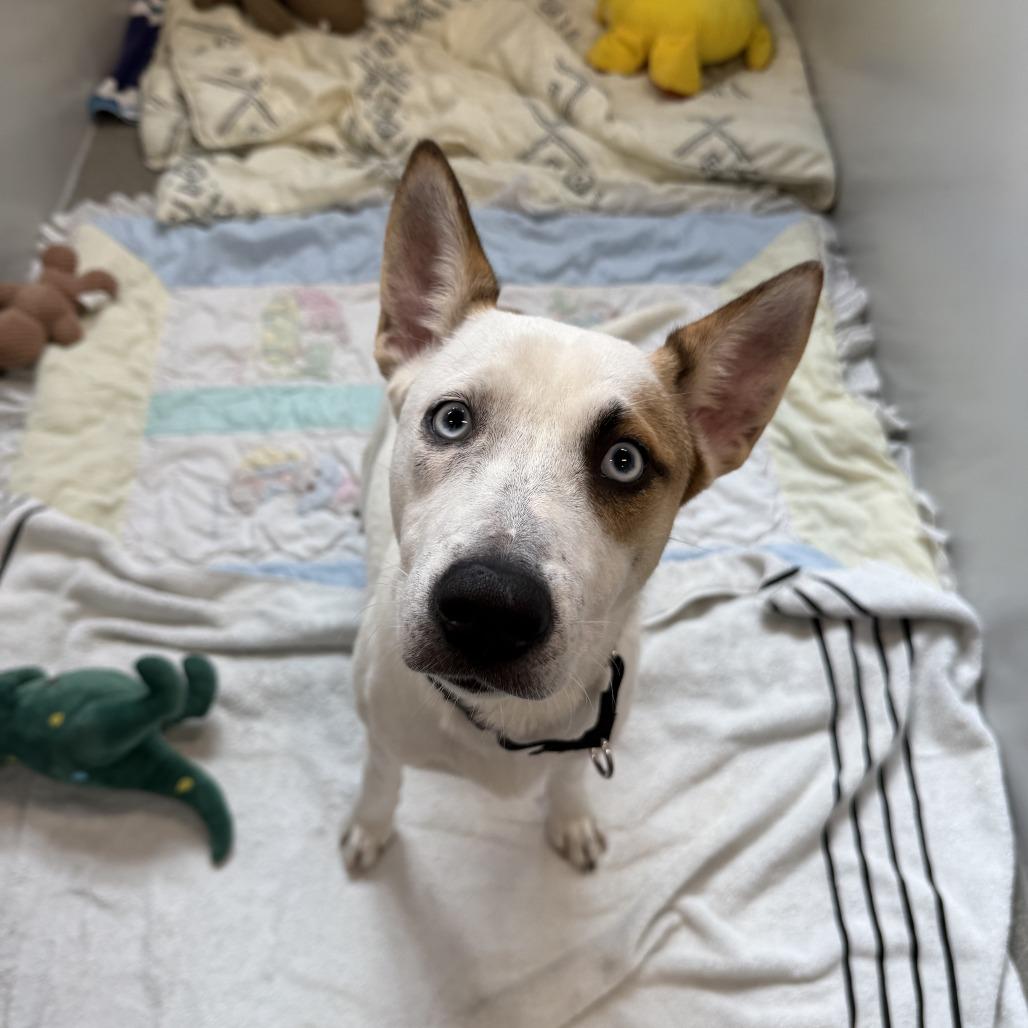 Lisa — thumbnail 6