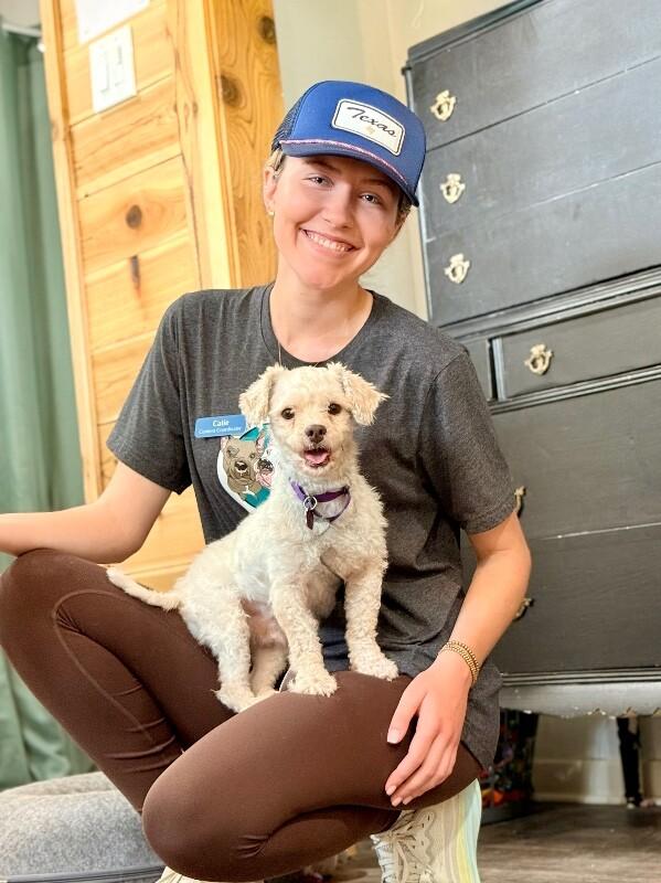 Chino Love — thumbnail 5