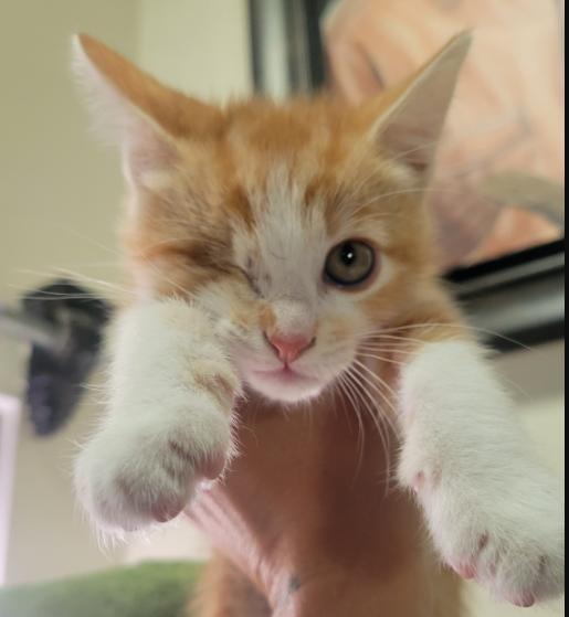 Reid Birgen thumbnail 5