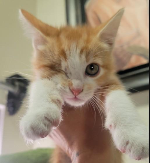 Reid Birgen thumbnail 7