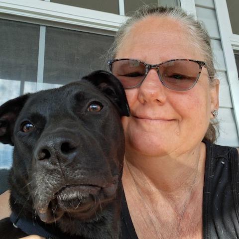 Enlarge ROWAN (520), a Adoptable mixed breed in Indiantown, FL image 2/6