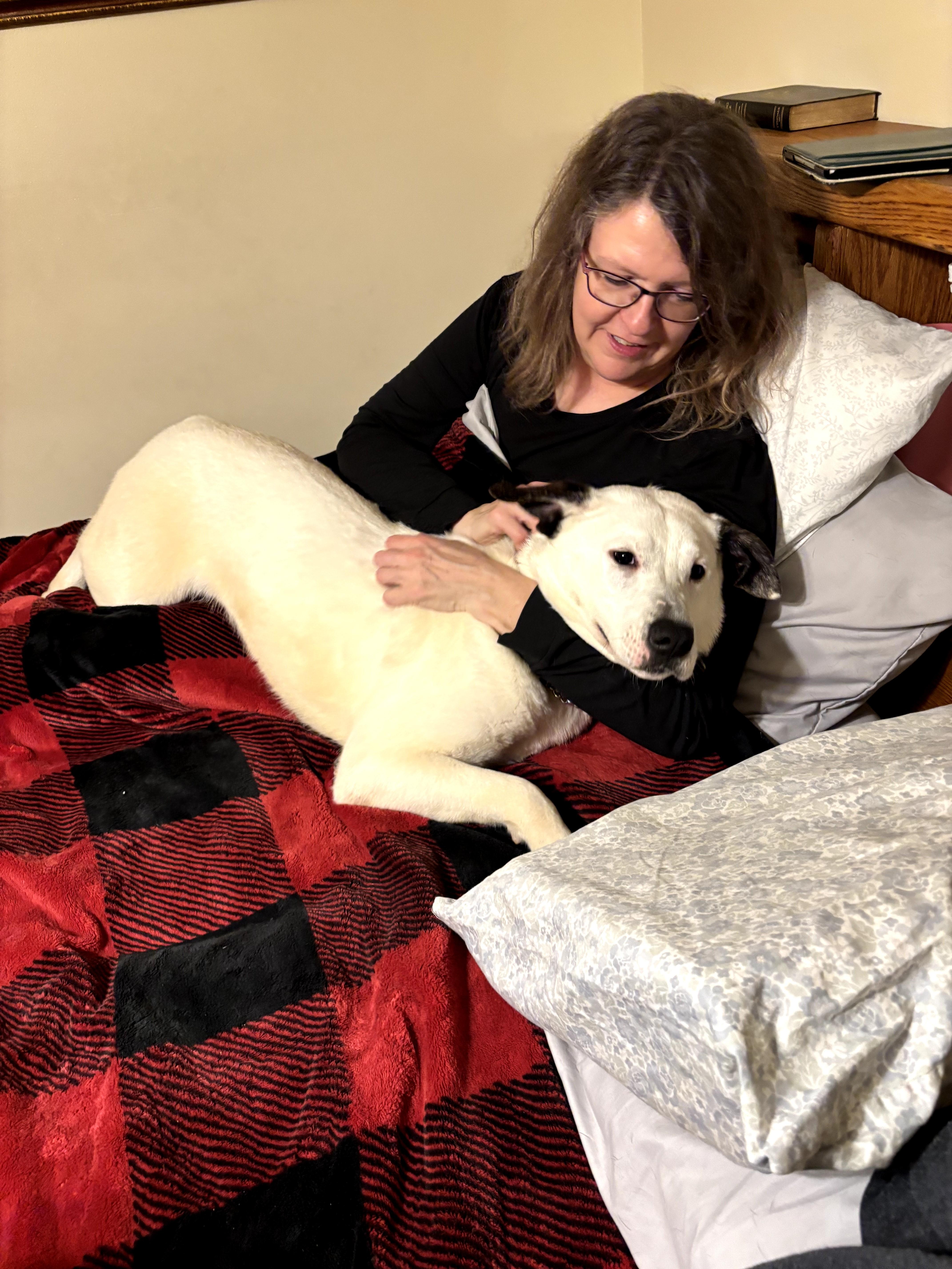 Enlarge Polo, a Adopted mixed breed in Muskego, WI image 2/6