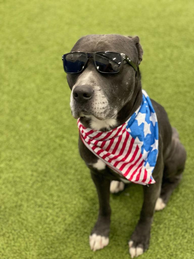 Atlas — thumbnail 4