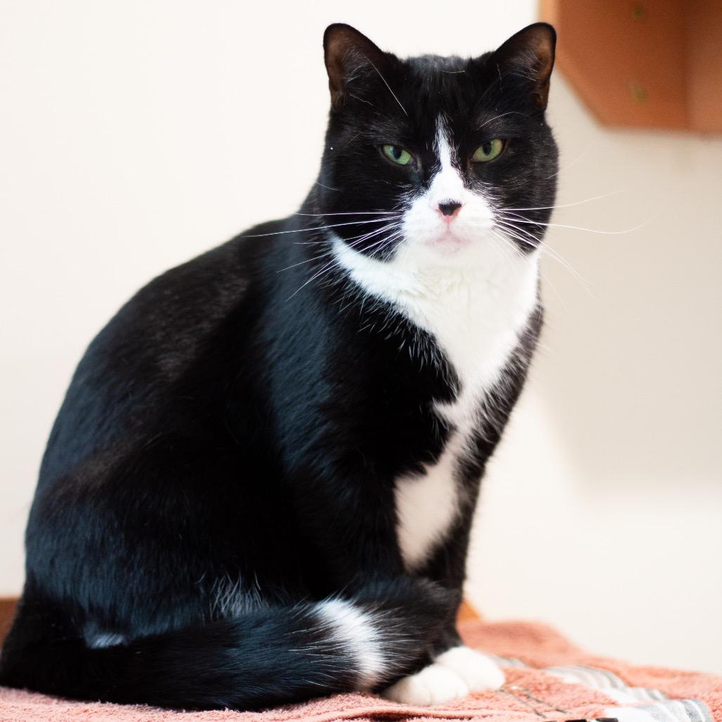 Smooch — thumbnail 2