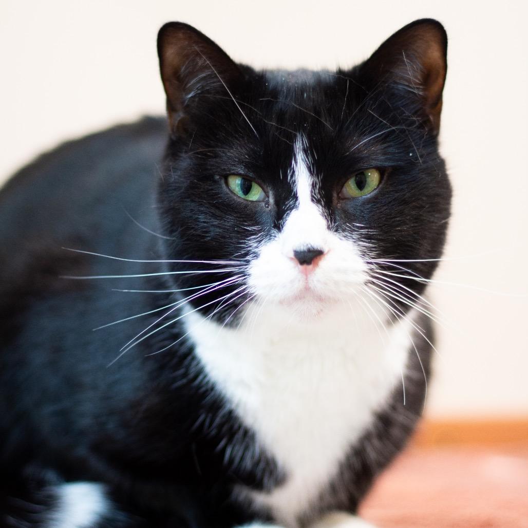 Smooch — thumbnail 3