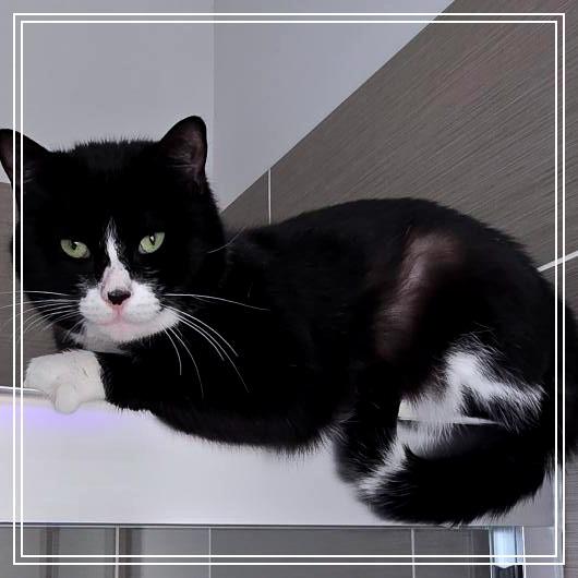 Smooch — thumbnail 4