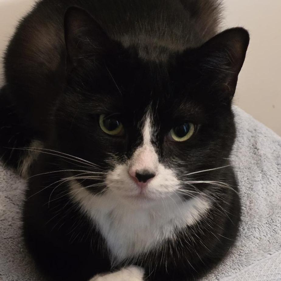 Smooch — thumbnail 5