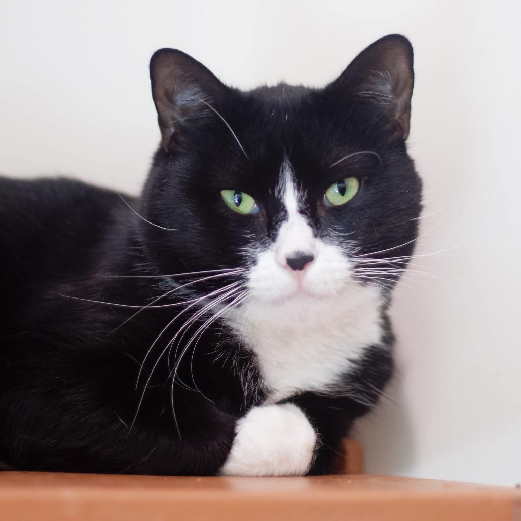 Smooch — thumbnail 6