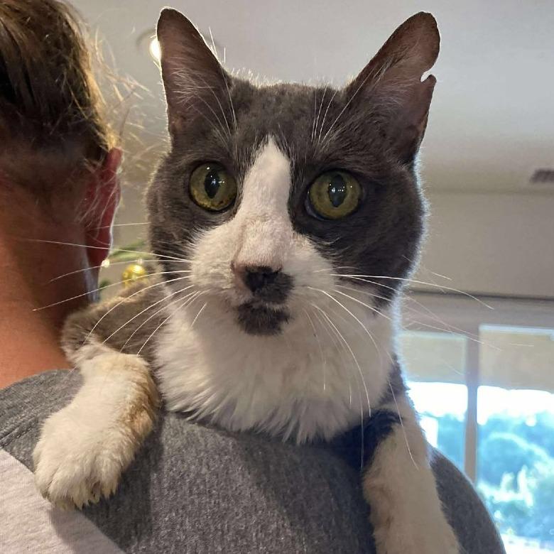 Mayflower — thumbnail 6