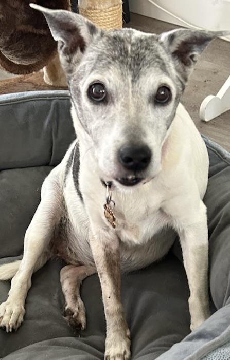 Rorie a little Senior!!