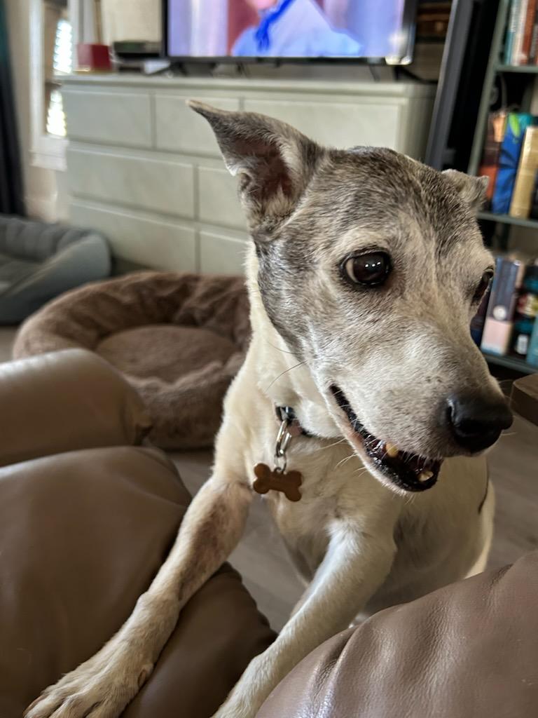 Rorie a little Senior!!