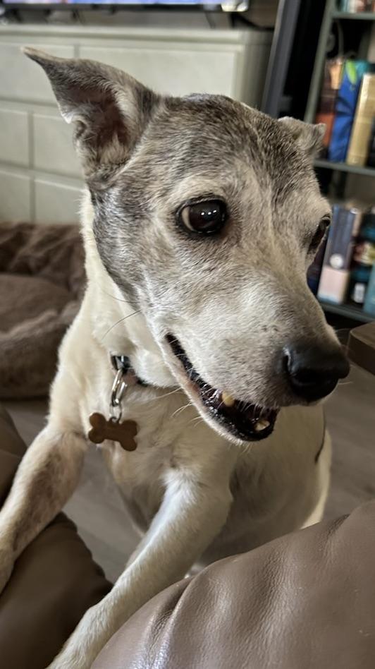 Rorie a little Senior!!