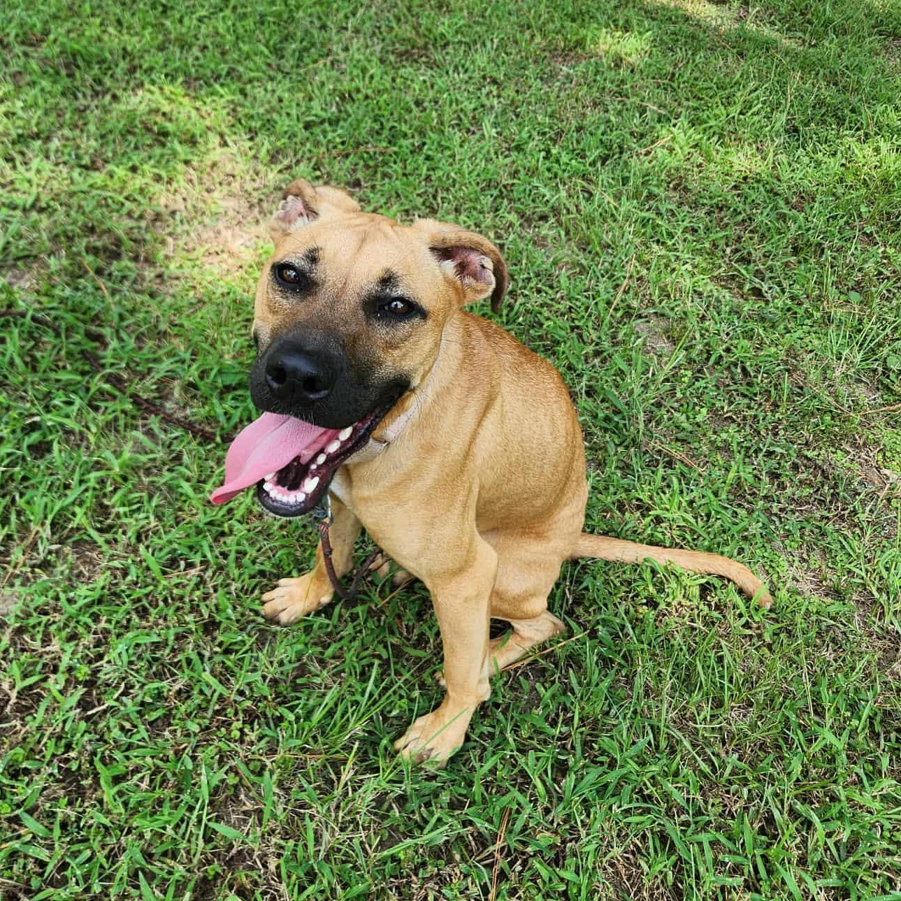 Tula — thumbnail 5