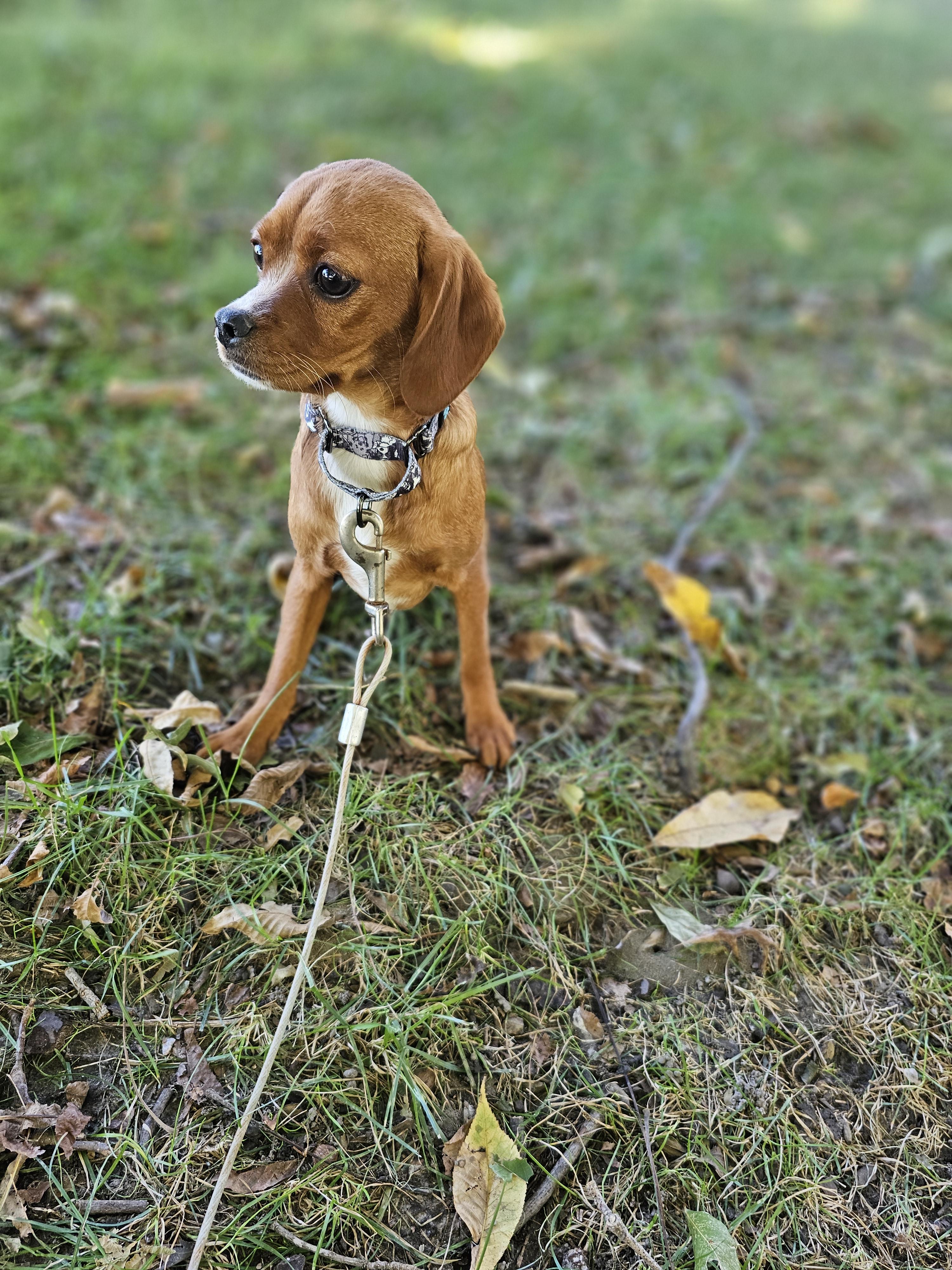 Tinker Bell thumbnail 5