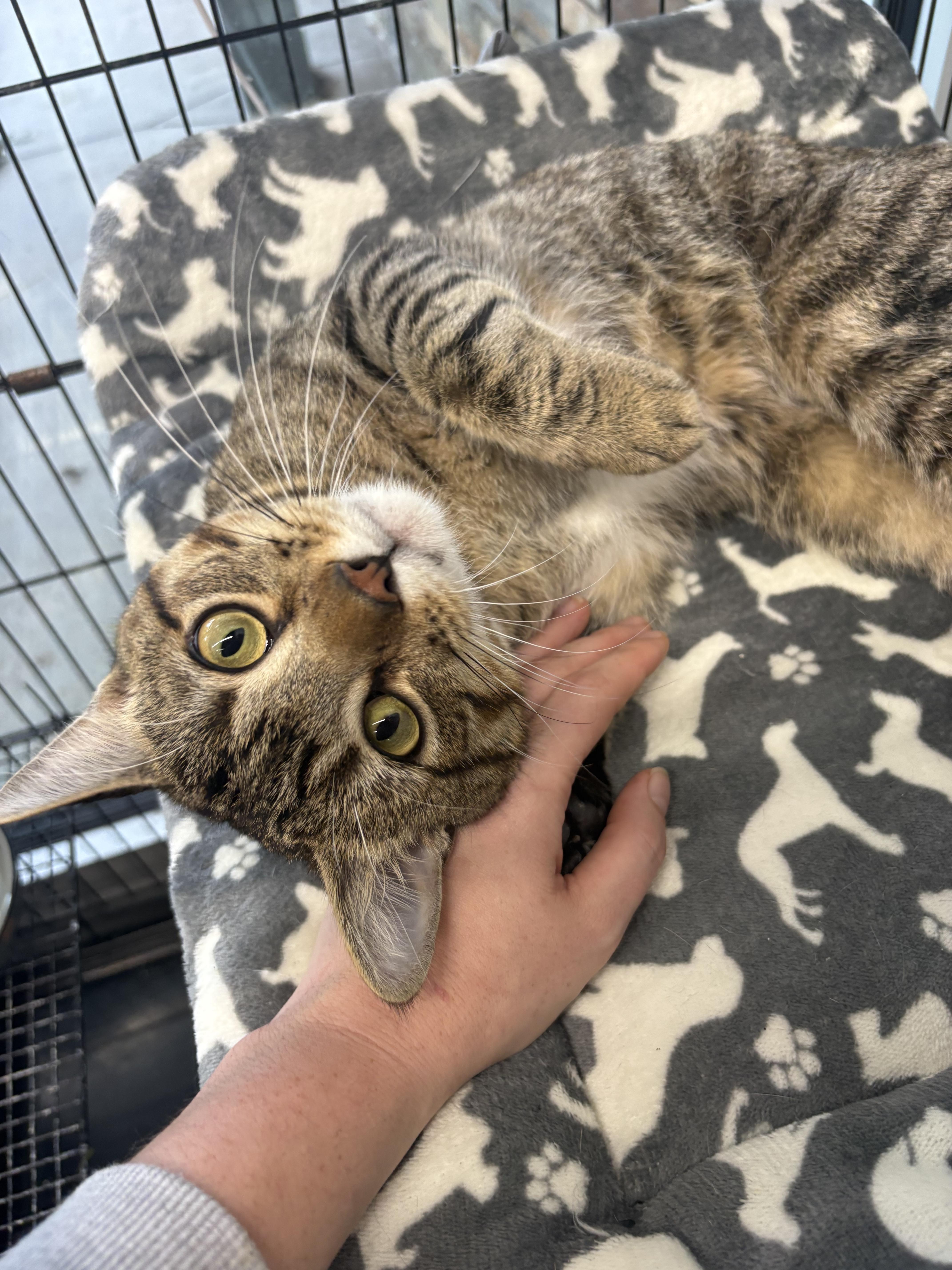 Sebastian thumbnail 2