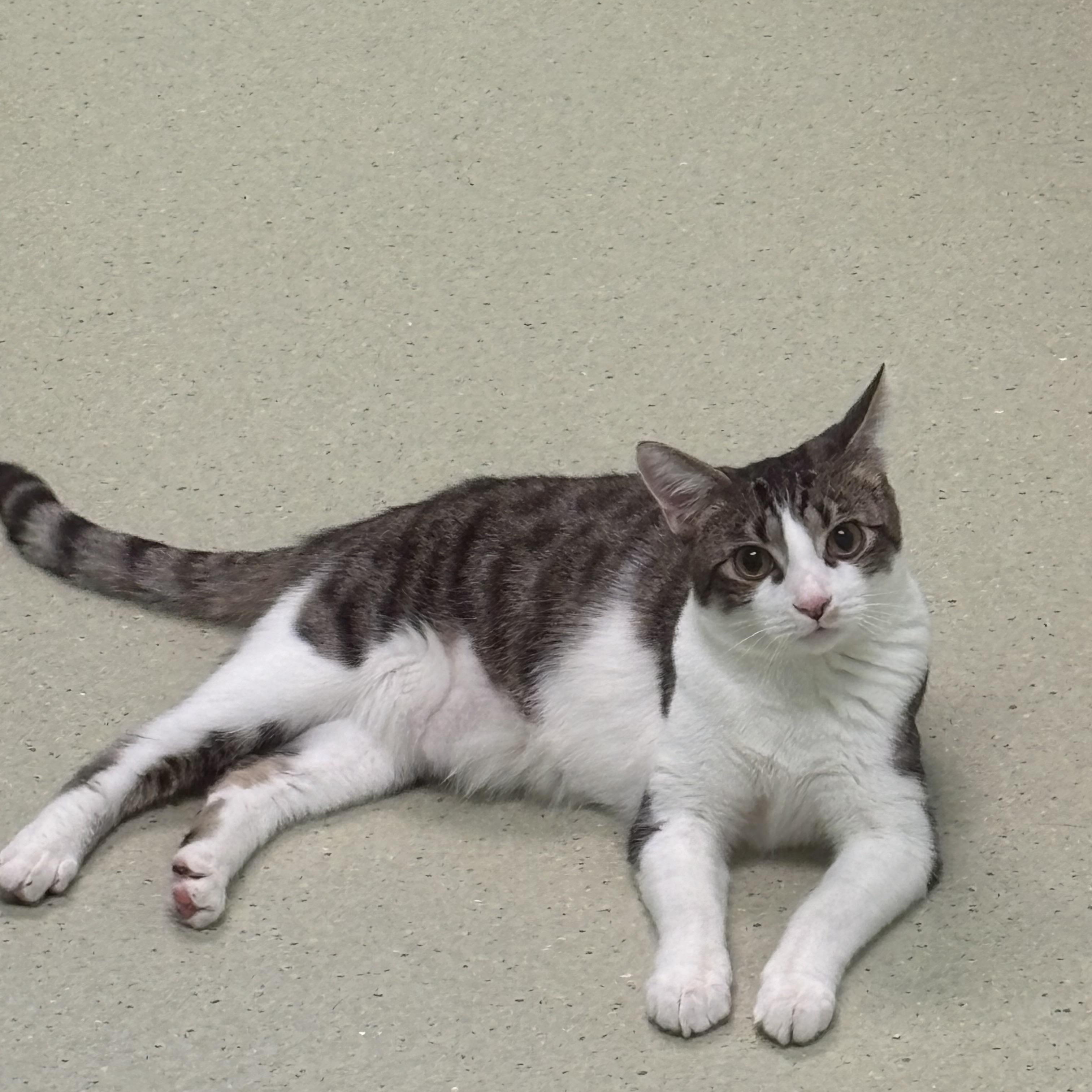 Burma And Nick thumbnail 3