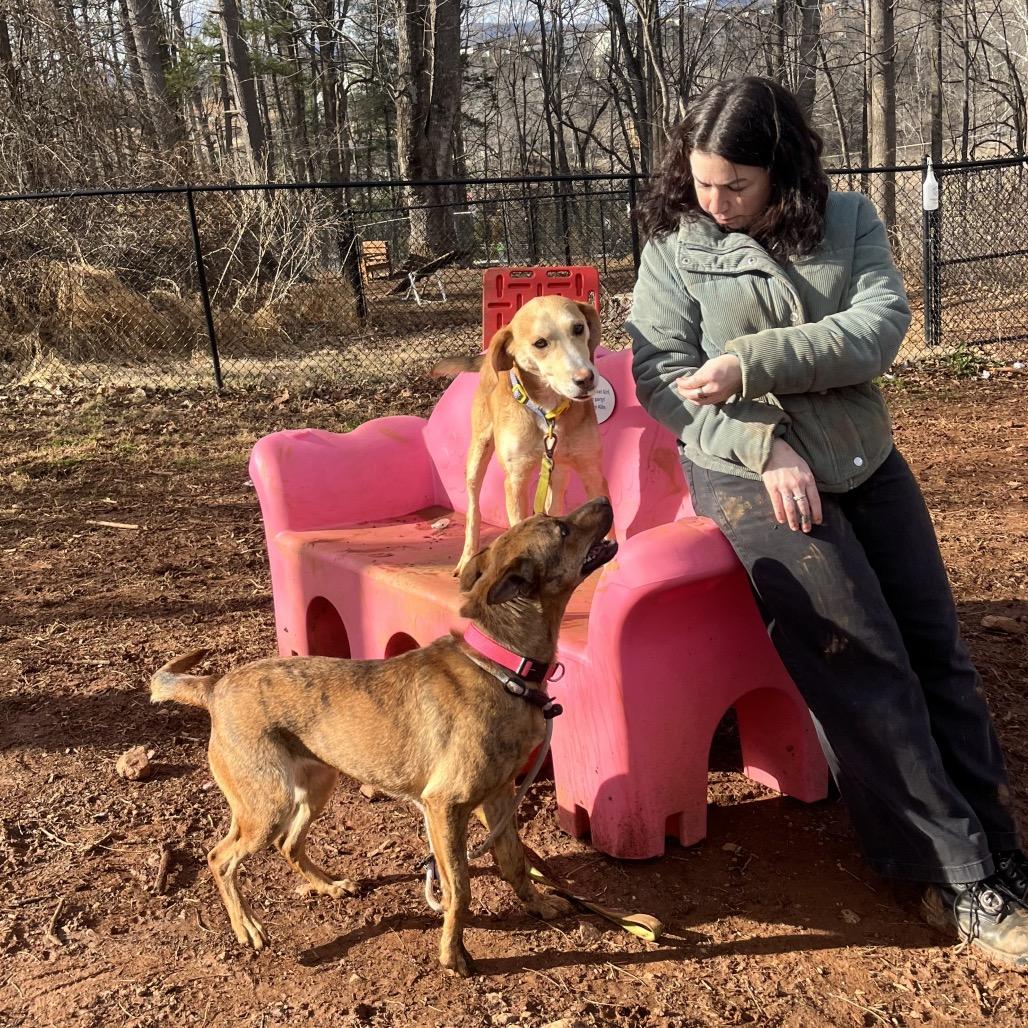 Captain America — thumbnail 2