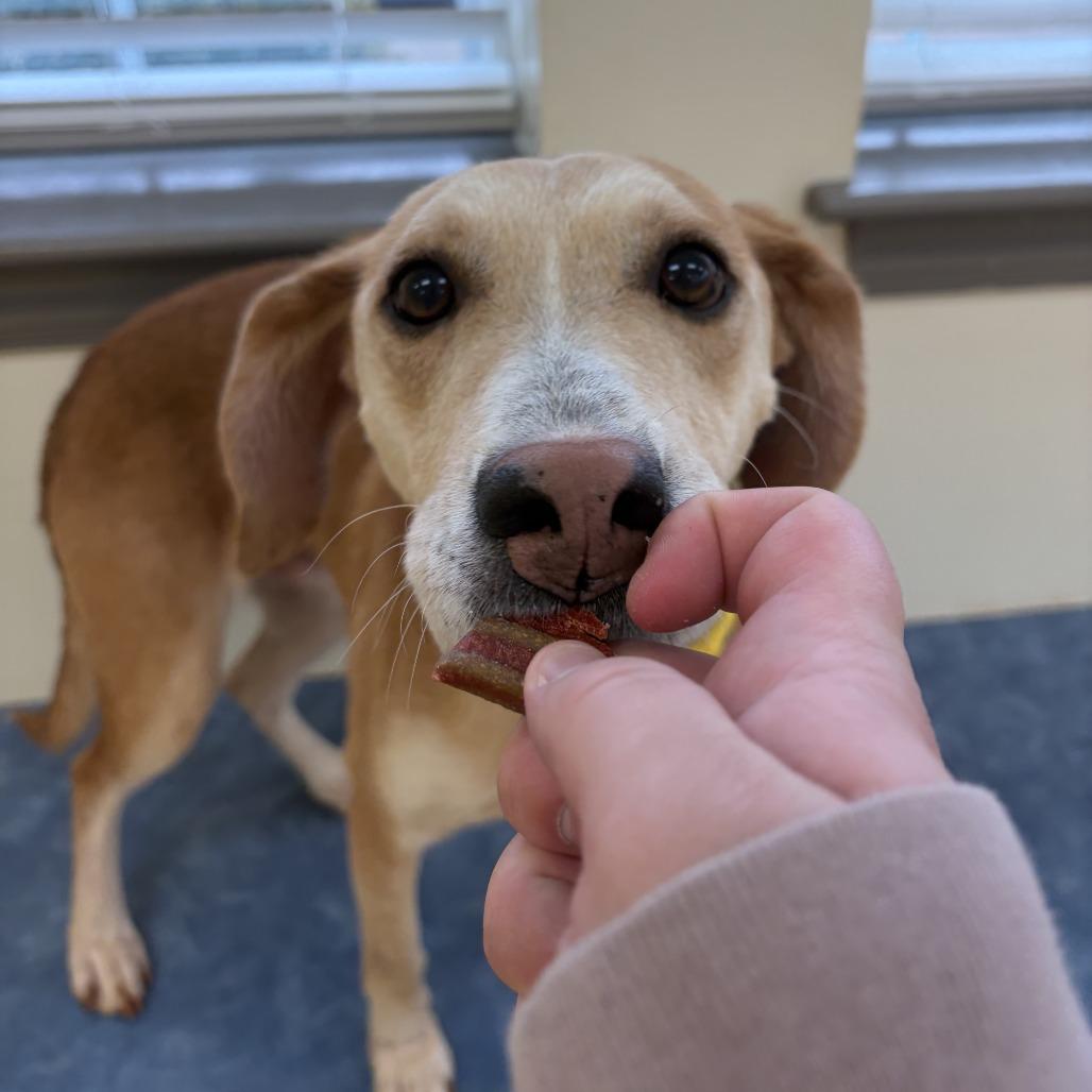 Captain America — thumbnail 4