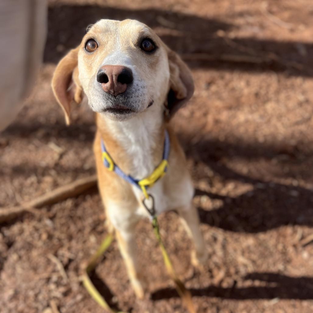 Captain America — thumbnail 5