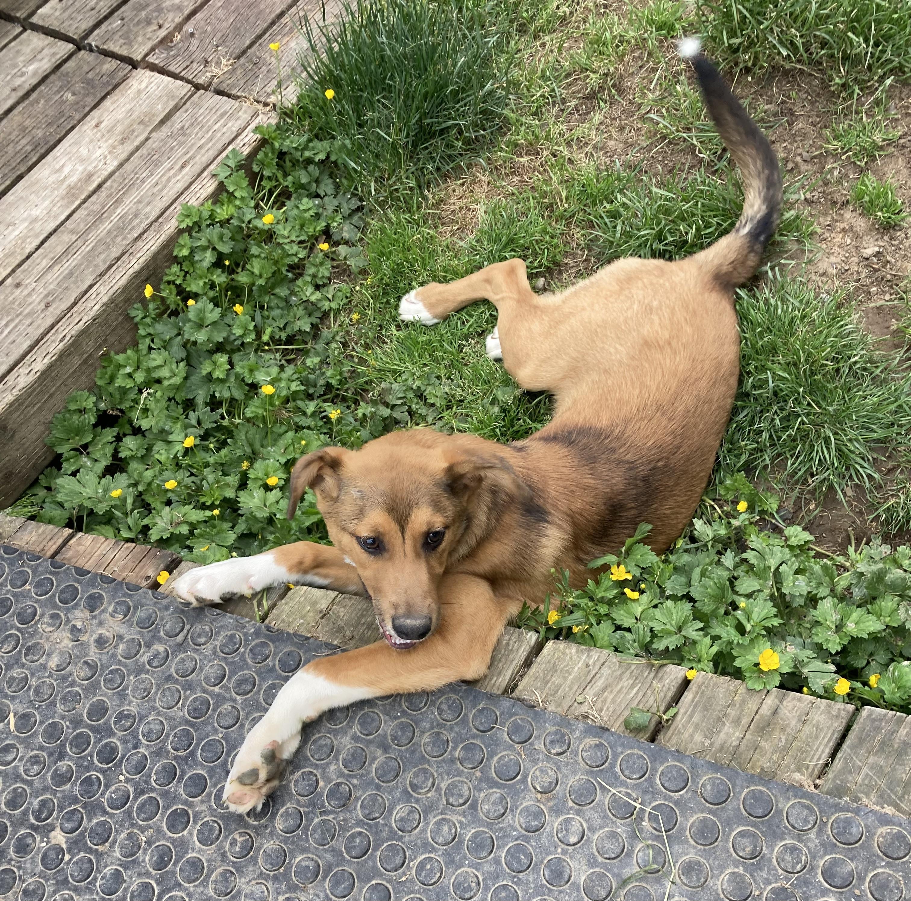 Indiana