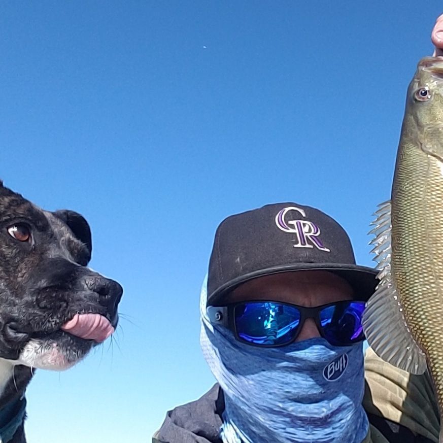 Cami — thumbnail 3