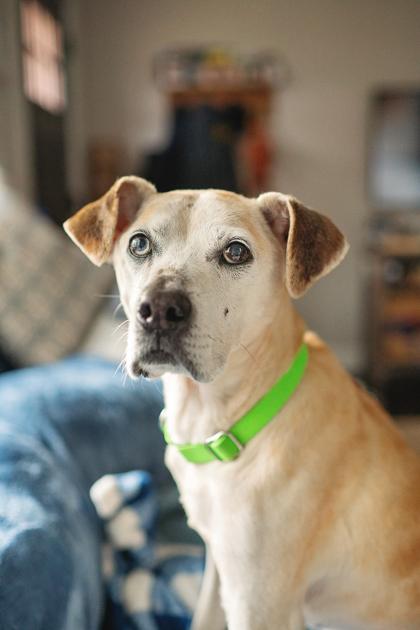 FRECKLES — thumbnail 3