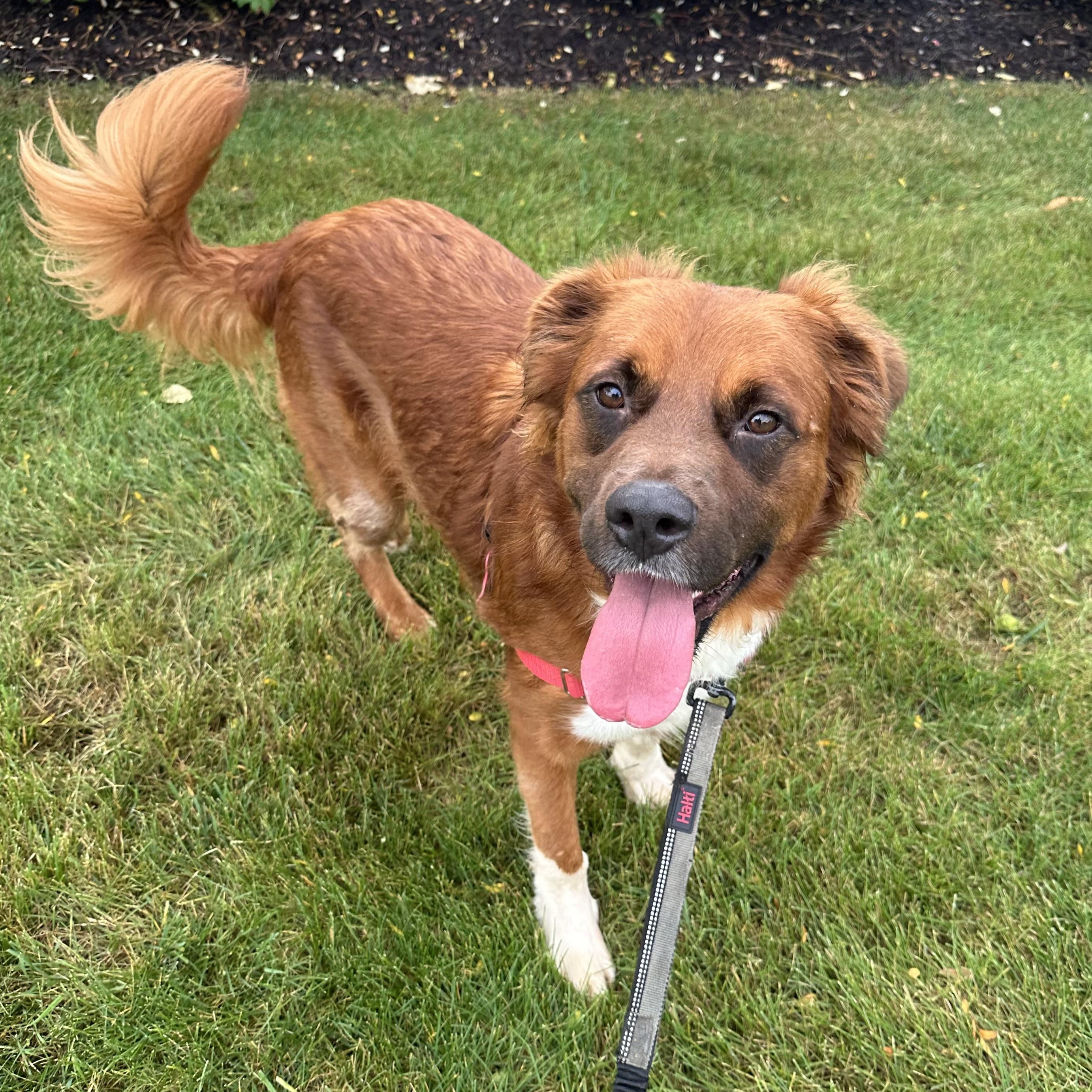 Dozier-Foster Home Needed