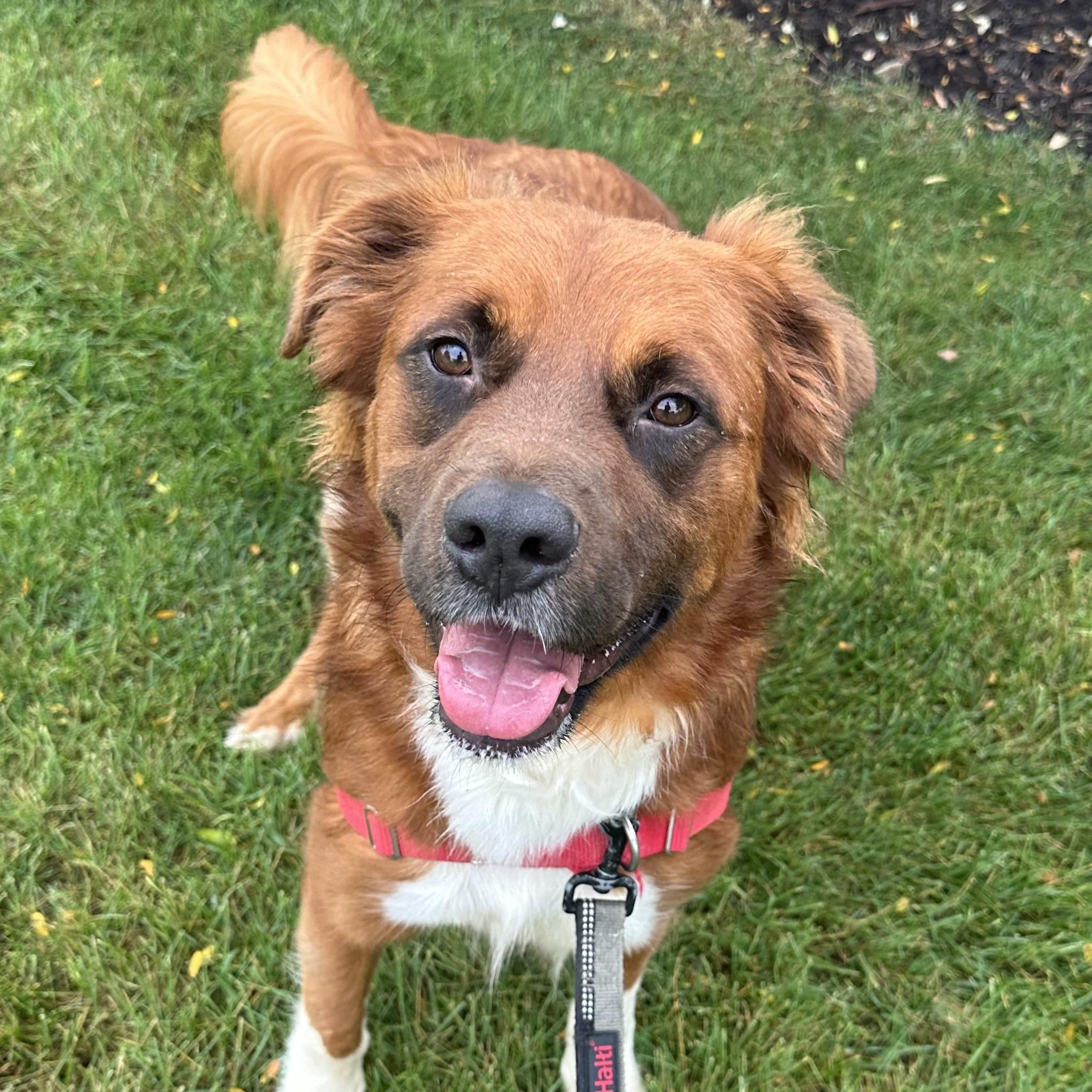 Dozier-Foster Home Needed