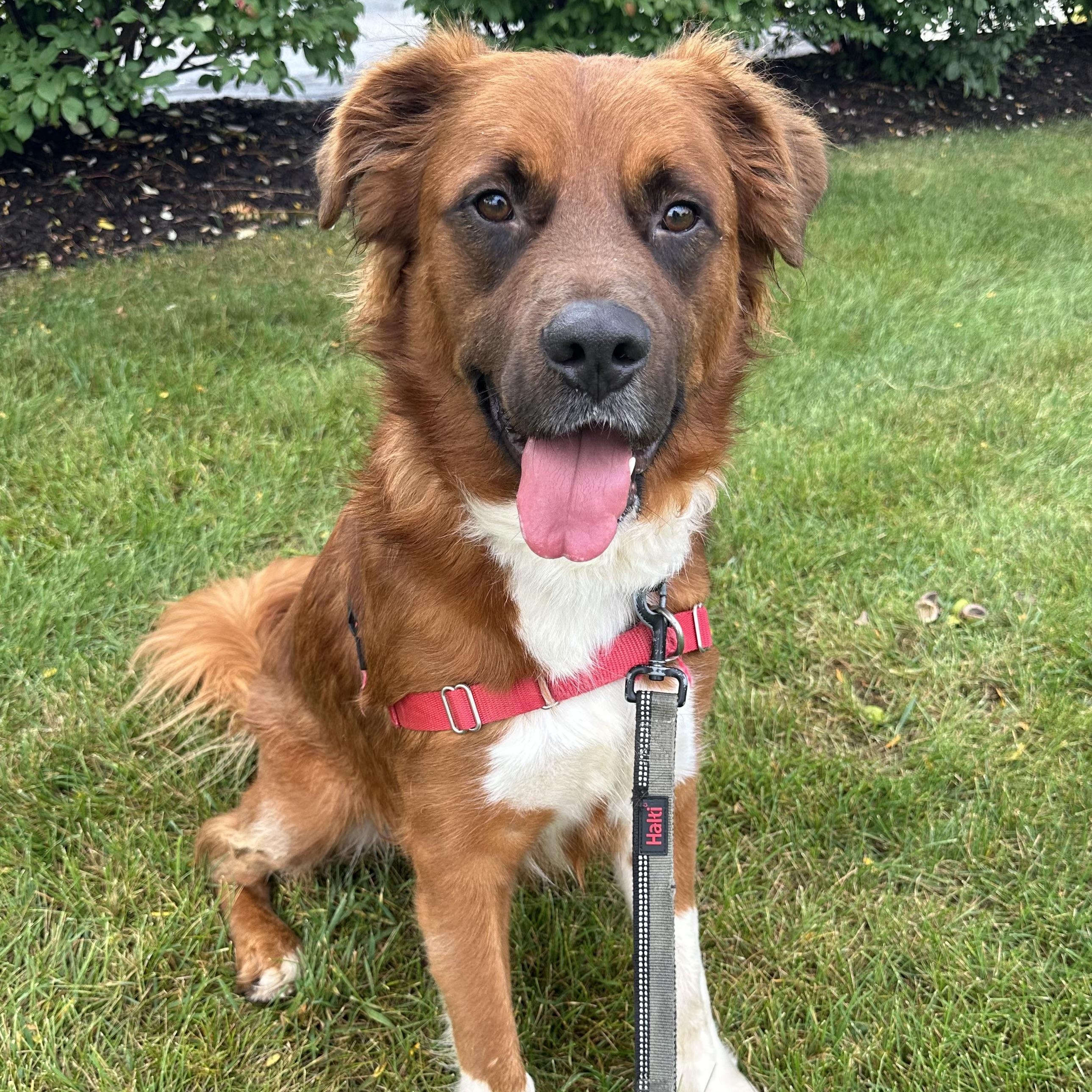 Dozier-Foster Home Needed