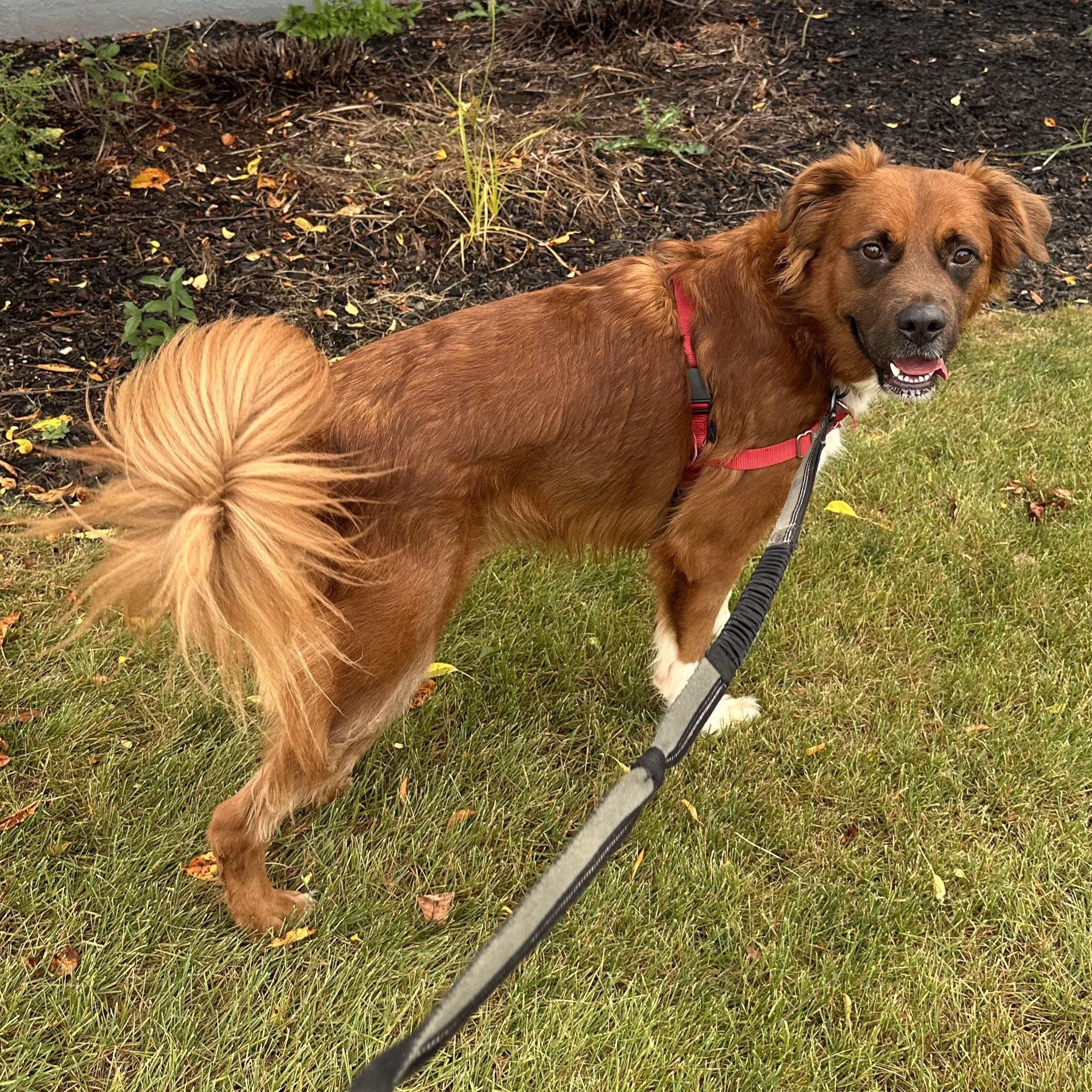 Dozier-Foster Home Needed