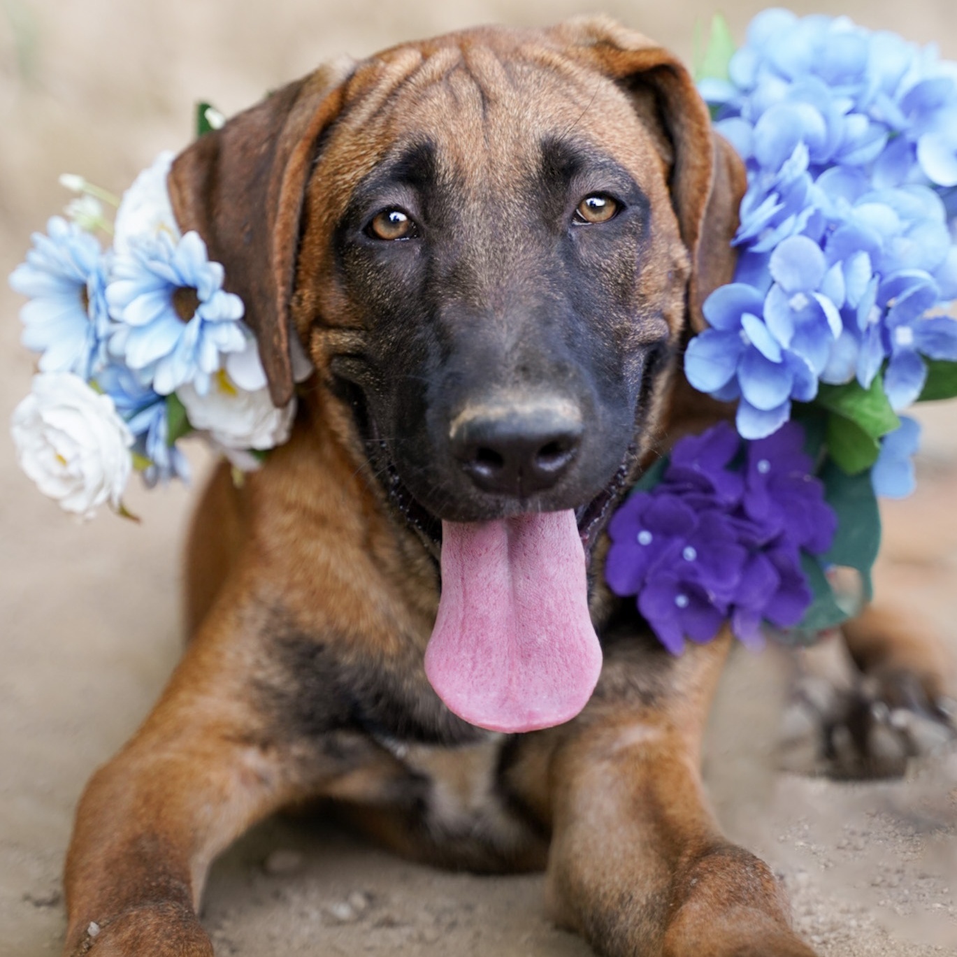 BiBi  is One of the SWEETEST Girls you'll ever meet  :)