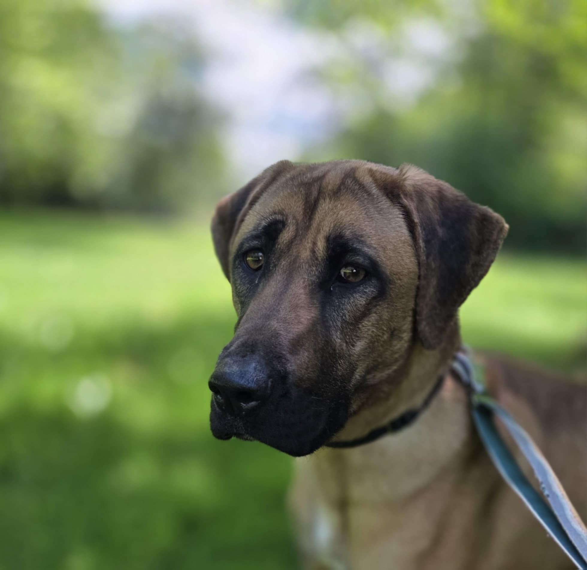 BiBi  is One of the SWEETEST Girls you'll ever meet  :)